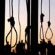 dead by hanging suicide