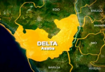 delta 295519 05dc8