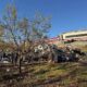 images 2 1793185430