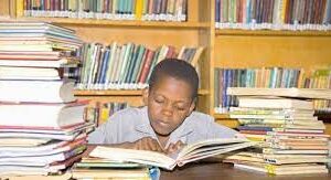 library school studies 1