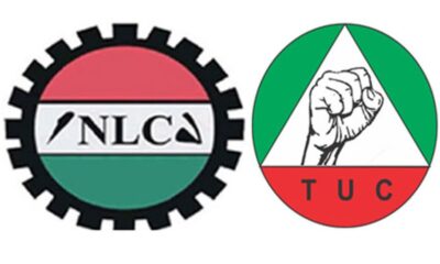 nlc tuc 12 1792754980