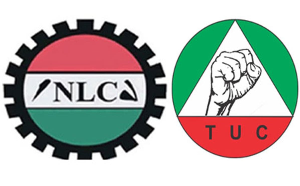 nlc tuc 12 1792754980
