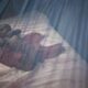 treated mosquito net