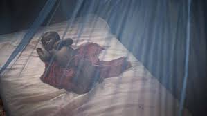 treated mosquito net