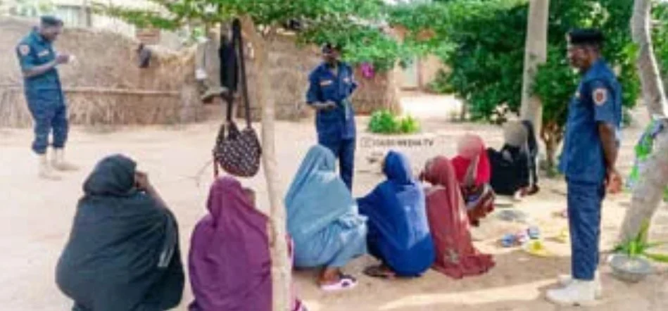 yobe prostitutes